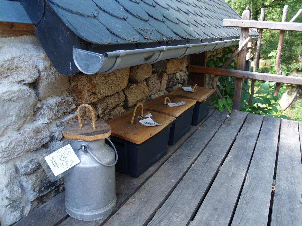 Gite Nature Le Moulin Vitrac-sur-Montane 외부 사진