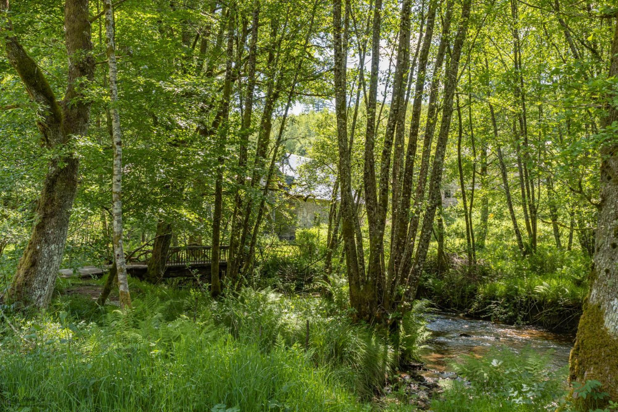 Gite Nature Le Moulin Vitrac-sur-Montane 외부 사진