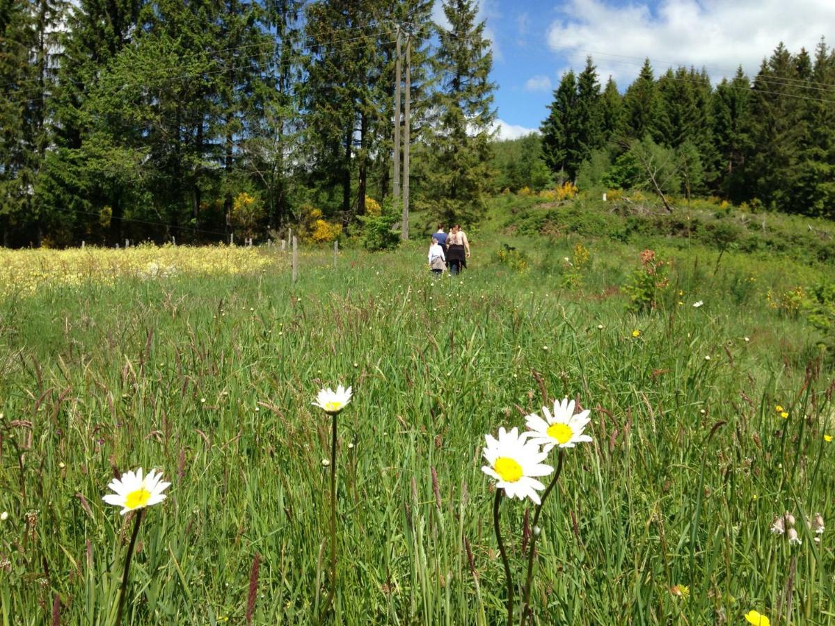 Gite Nature Le Moulin Vitrac-sur-Montane 외부 사진