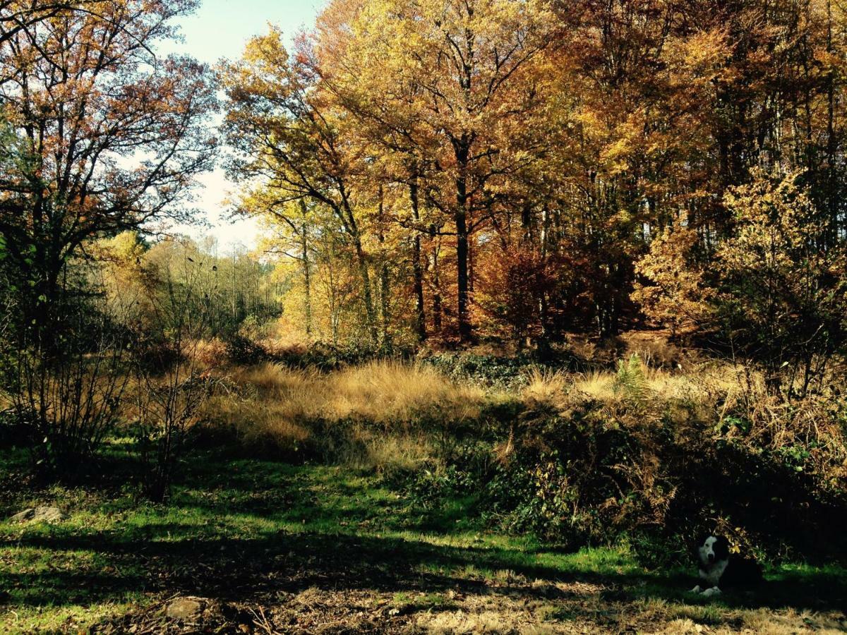 Gite Nature Le Moulin Vitrac-sur-Montane 외부 사진